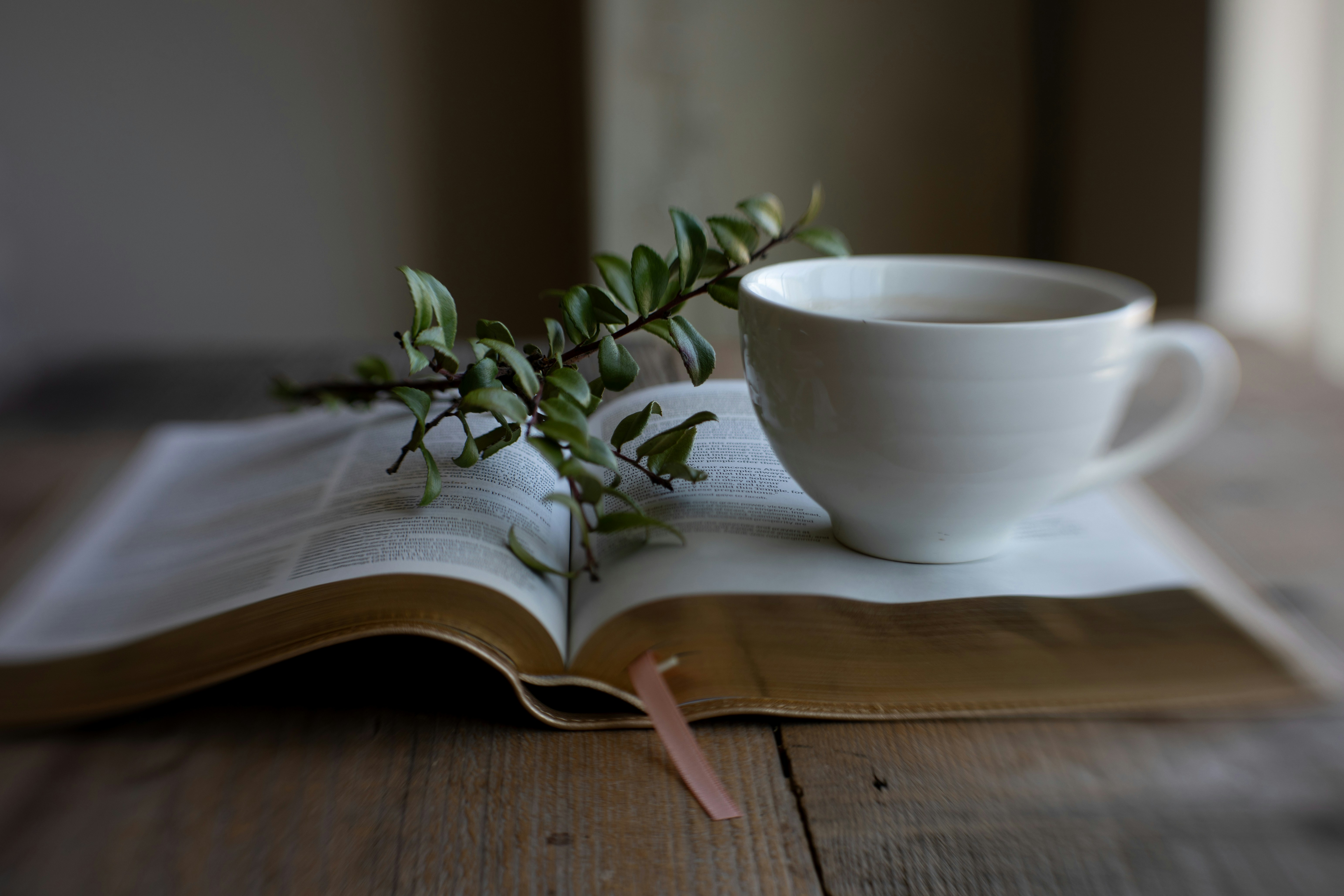 The Written Word